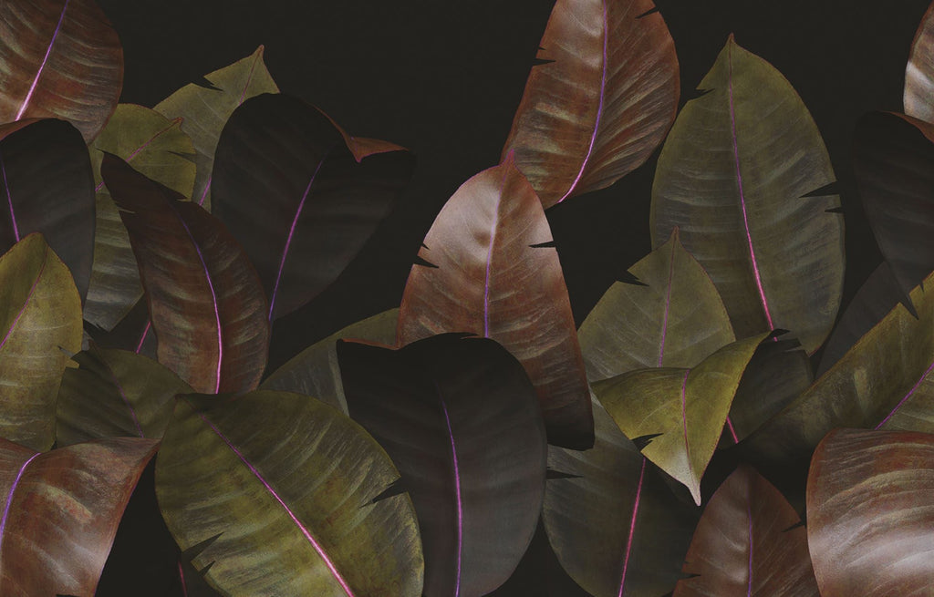 Zamia WDZA2101 a, Sample