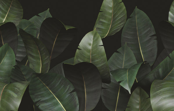 Zamia WDZA2102 a, Sample Wallcoverings | Wall&decò
