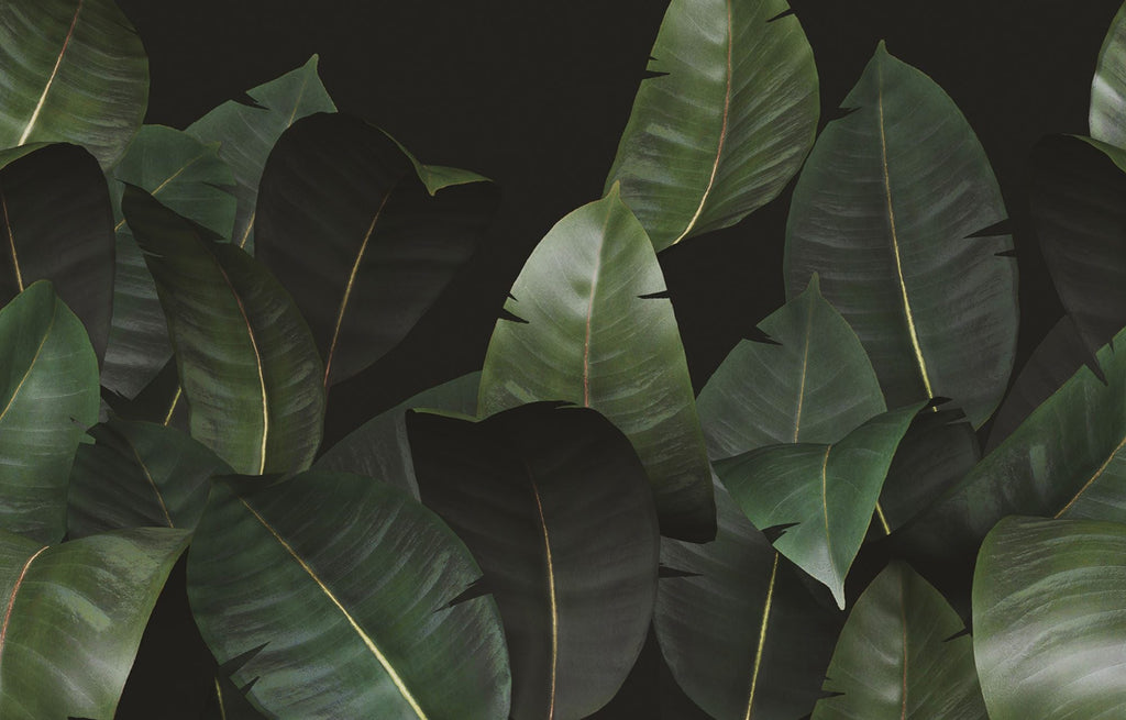 Zamia WDZA2102 a, Sample