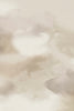 Dispersion Air