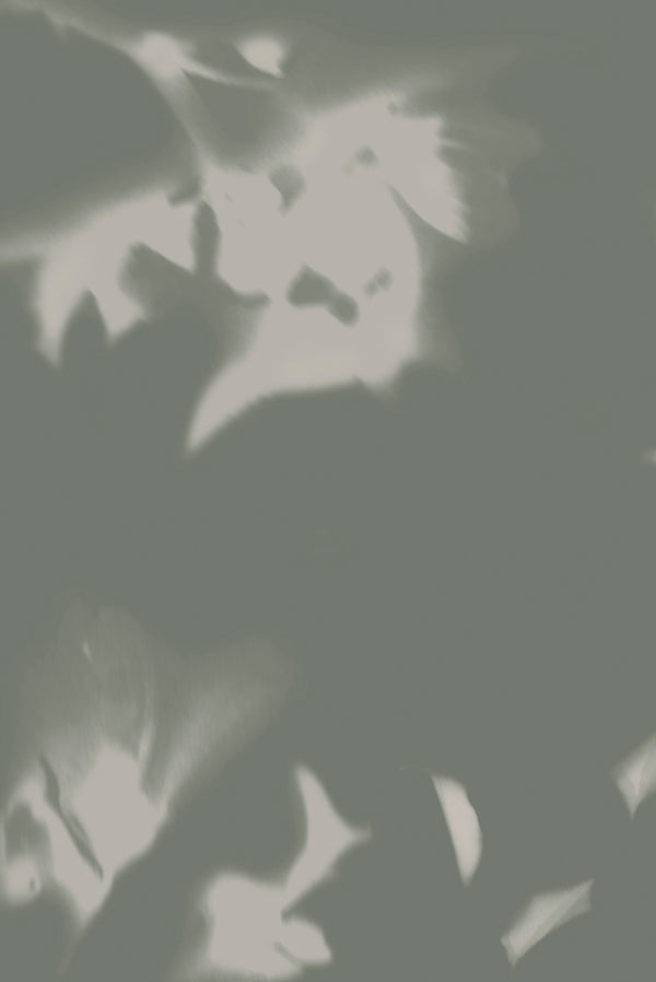 Drift Brushed Metallic Sage | Emma Hayes Wallcovering
