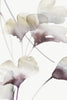 Ginko Grape