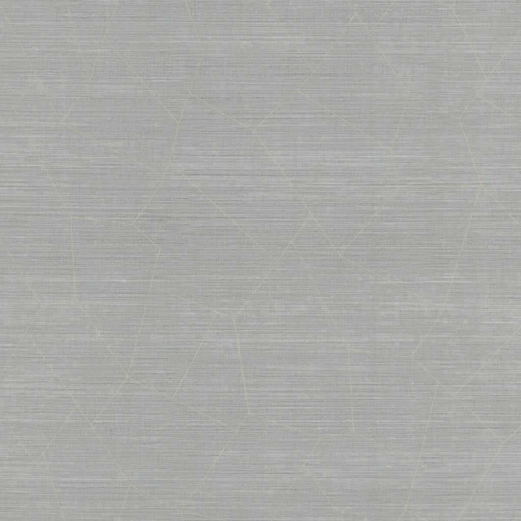 Samples and Purchasing available for Vivace - Bay Silver By Phillipe Romano | Phillipe Romano Thom Filicia Vinyls | Modern Wallcovering Vinyl/Faux Leather at Designer Wallcoverings and Fabrics