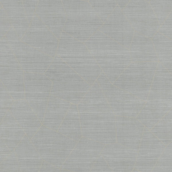 Samples and Purchasing available for Vivace - Bay Silver By Phillipe Romano | Phillipe Romano Thom Filicia Vinyls | Modern Wallcovering Vinyl/Faux Leather at Designer Wallcoverings and Fabrics