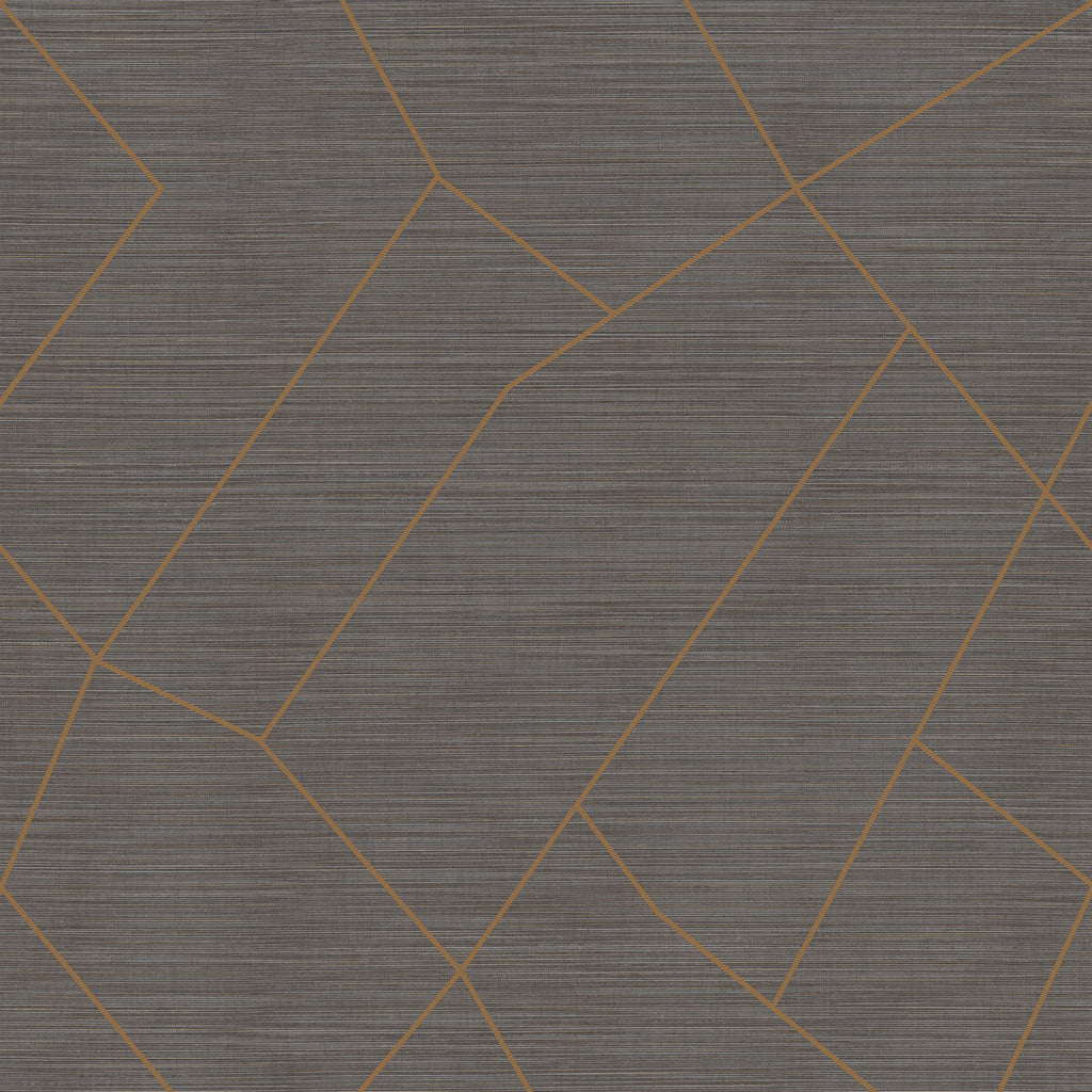 Samples and Purchasing available for Vivace Grand - Graphite Grey By Phillipe Romano | Phillipe Romano Thom Filicia Vinyls | Modern Wallcovering Vinyl/Faux Leather at Designer Wallcoverings and Fabrics
