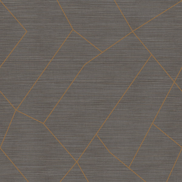 Samples and Purchasing available for Vivace Grand - Graphite Grey By Phillipe Romano | Phillipe Romano Thom Filicia Vinyls | Modern Wallcovering Vinyl/Faux Leather at Designer Wallcoverings and Fabrics