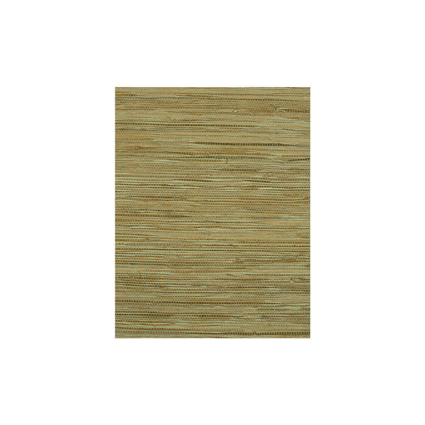 Samples and Purchasing available for Montego - Seaglass Green By Phillipe Romano | Phillipe Romano Island Weaves |Solid Texture Wallcovering Grasscloth at Designer Wallcoverings and Fabrics