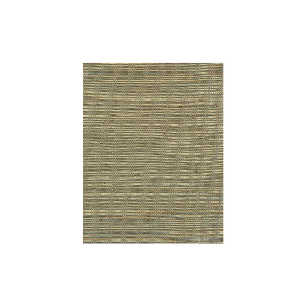 Samples and Purchasing available for Bermuda - Silver Haze Grey By Phillipe Romano | Phillipe Romano Island Weaves |Solid Texture Wallcovering Grasscloth at Designer Wallcoverings and Fabrics