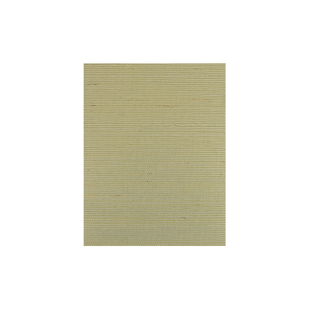 Samples and Purchasing available for Bermuda - Powder Beige By Phillipe Romano | Phillipe Romano Island Weaves |Solid Texture Wallcovering Grasscloth at Designer Wallcoverings and Fabrics