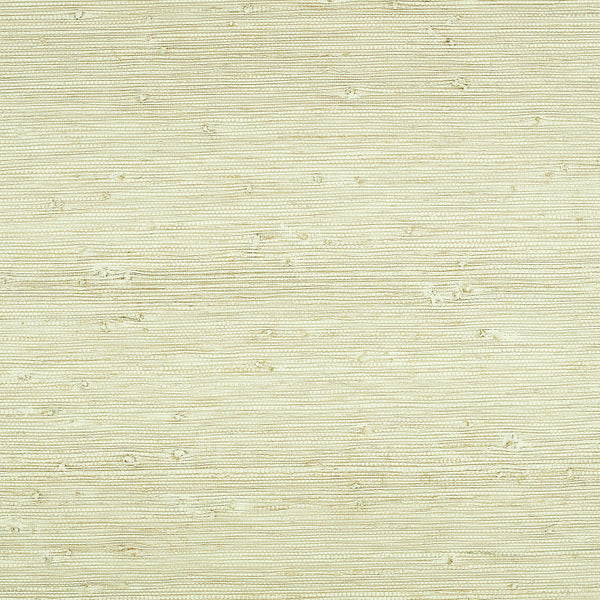 Solid, Pistachio Wallcoverings | Romo