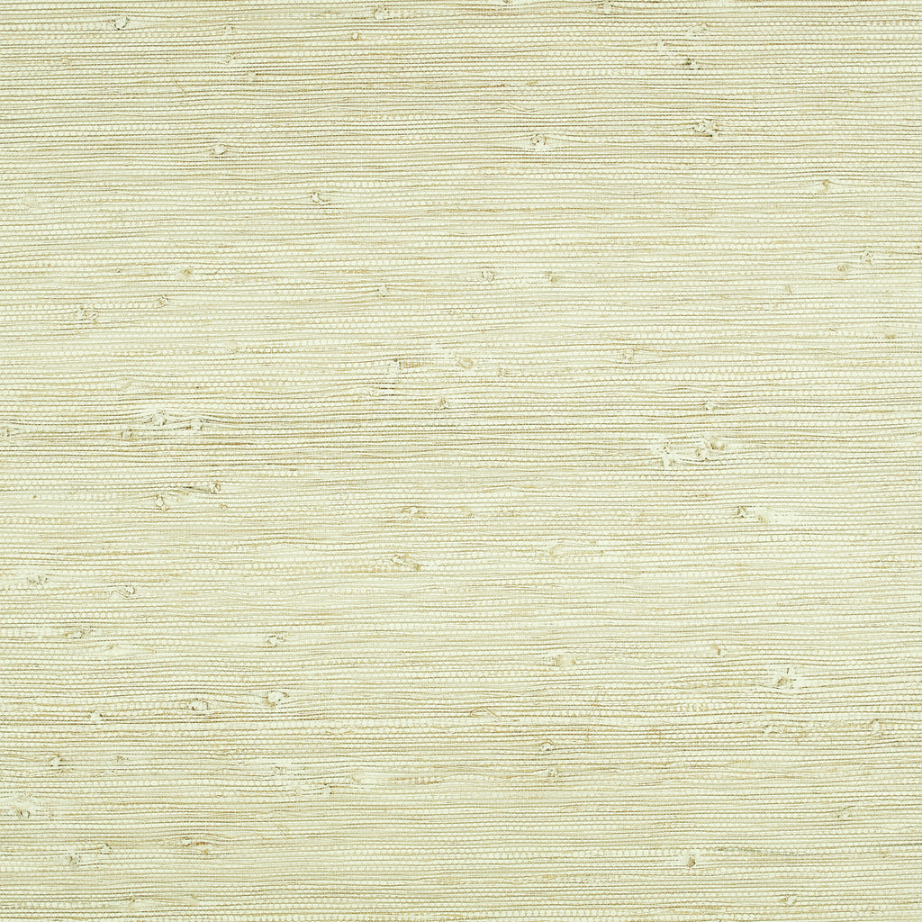 Solid Wallpaper Pistachio | Romo Europe