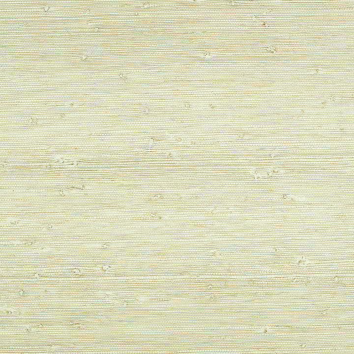 Solid, Pistachio
