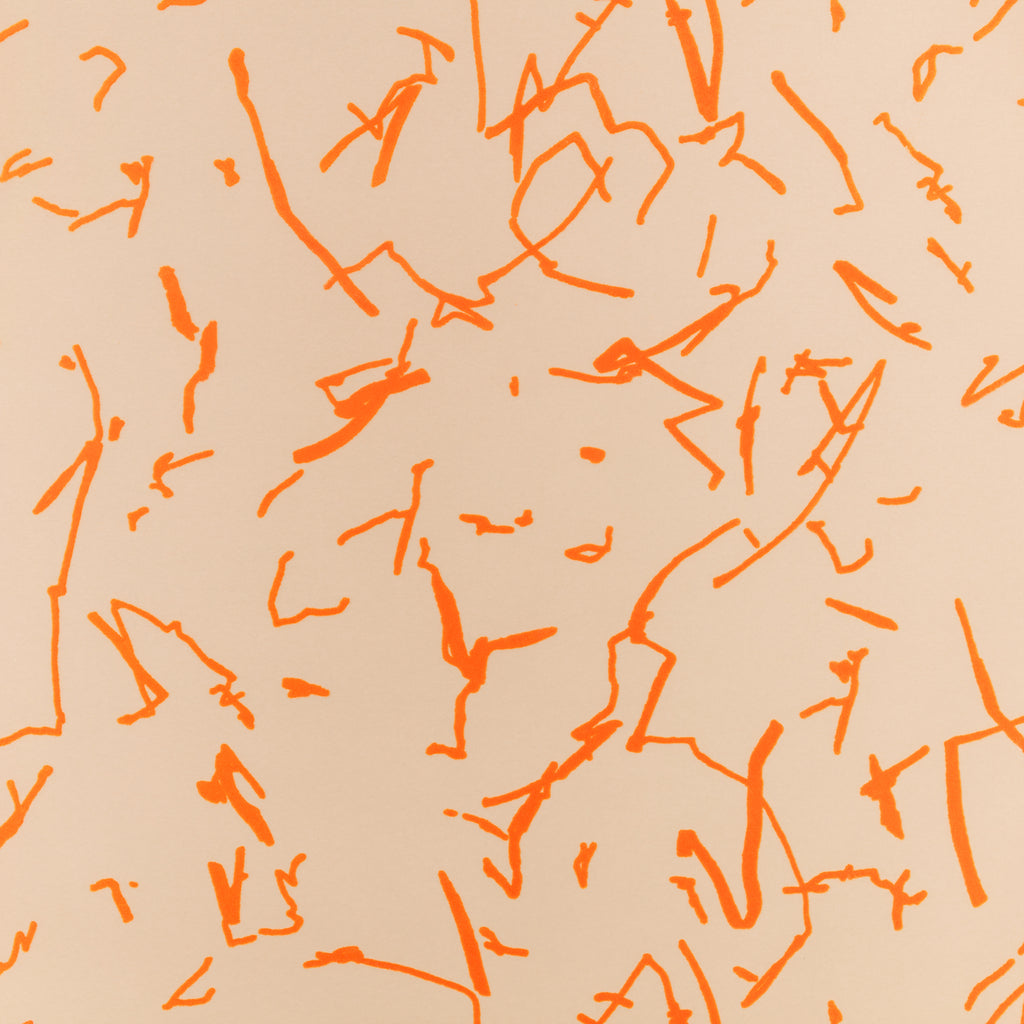 Scribble Wallpaper Tangelo | Romo Europe