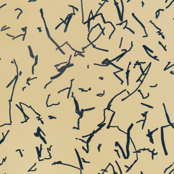 Scribble Zest
