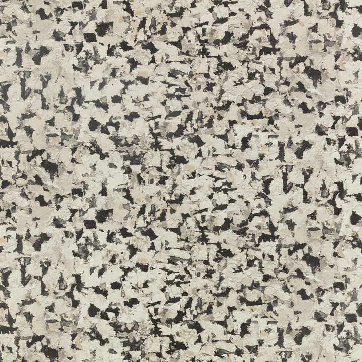 Fragment, Monochrome