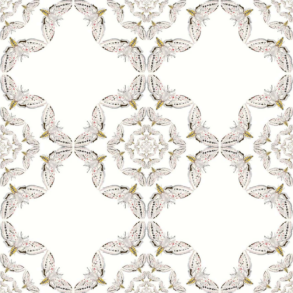 White Moth Circle Original