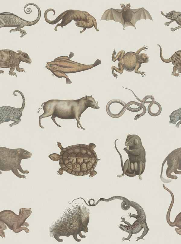 Ark of Seba - Taupe, Grey Wallcovering | Mind the Gap