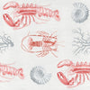 Lobster Wallpaper | Mind The Gap