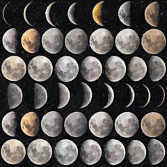 Moon Phases Premium - Black, Grey, Brown Wallcovering | Mind the Gap