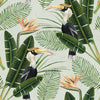 Birds Of Paradise Wallpaper | Mind The Gap
