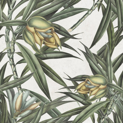 Exotic Fruit Ii - White, Green, Yellow Wallcovering | Mind the Gap