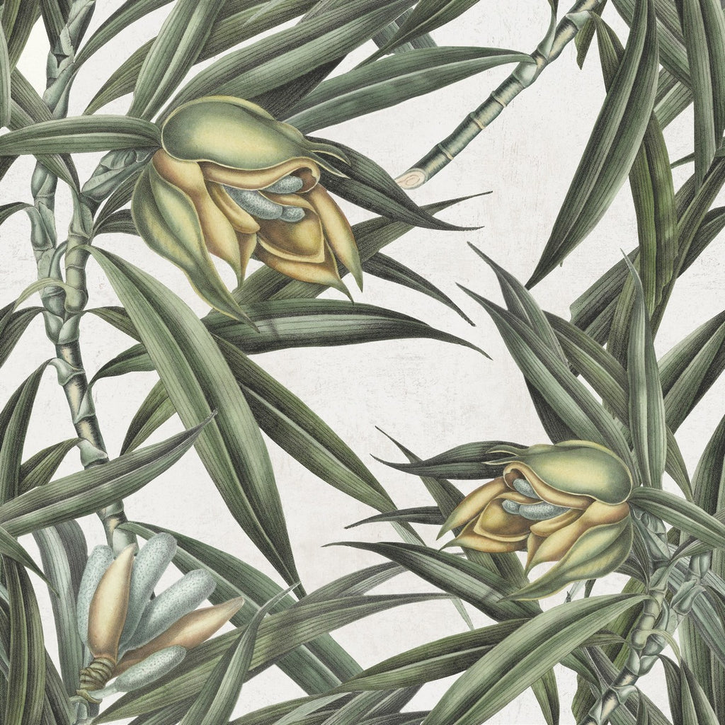 Exotic Fruit Ii Wallpaper | Mind The Gap