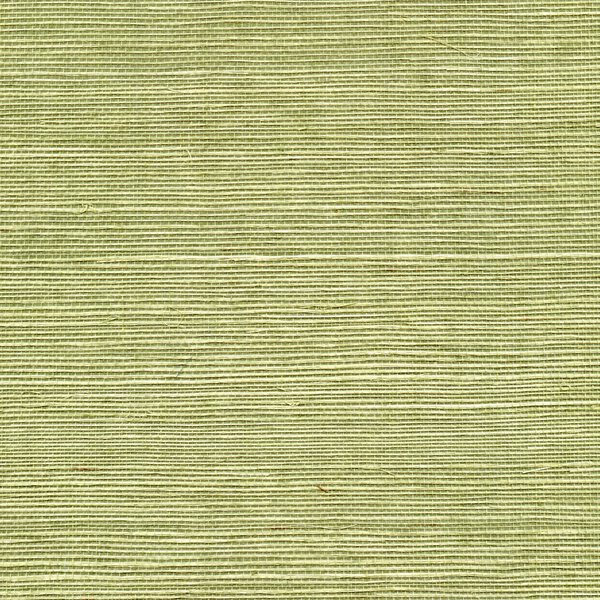 DWPW-430206 Wallcovering by Phillipe Romano