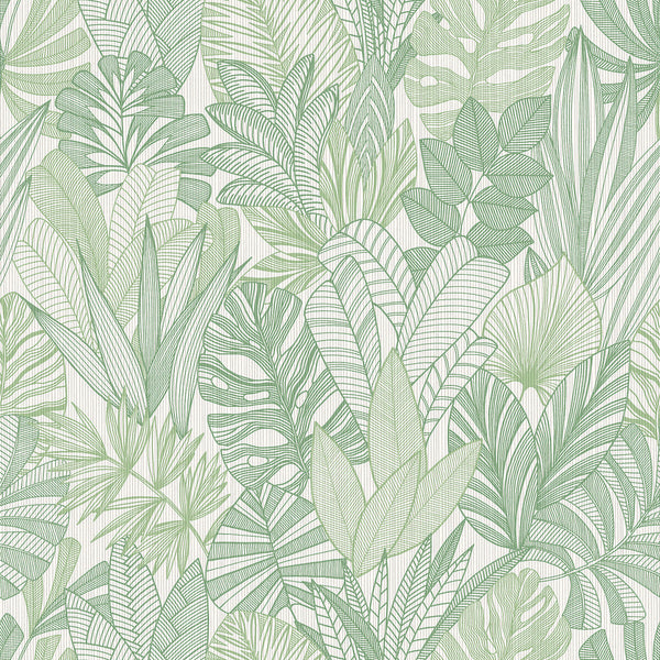 Cornish Lane - Tropicale Green By Phillipe Romano | Phillipe Romano The Keys | Botanical & Floral Wallcovering Print