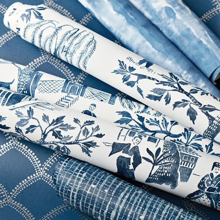 Burmese, Denim Blue