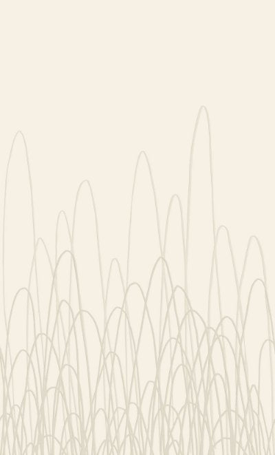 Wheat Fields Cream  Wallpaper (0204D237) | Republic Of Ii By Iv | Koroseal