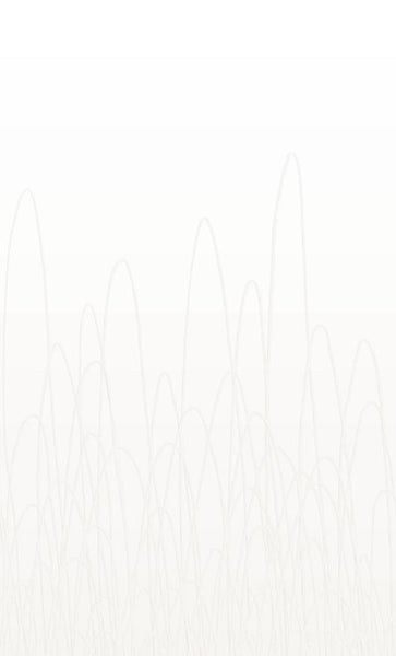 Wheat Fields Lightest Neutral  Wallpaper (0204D244) | Republic Of Ii By Iv | Koroseal