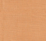Pale Salmon