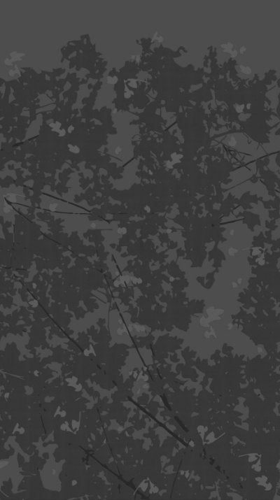 Wild Woods Black - Gray Commercial Wallcovering | Koroseal