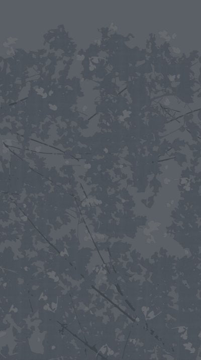 Wild Woods Blue - Gray Commercial Wallcovering | Koroseal
