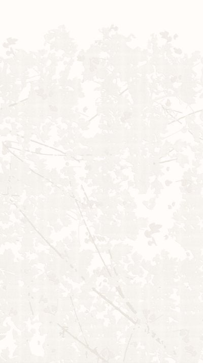 Wild Woods Cream - Off-White Commercial Wallcovering | Koroseal