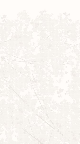 Wild Woods Cream  Wallpaper (0204D253) | Republic Of Ii By Iv | Koroseal