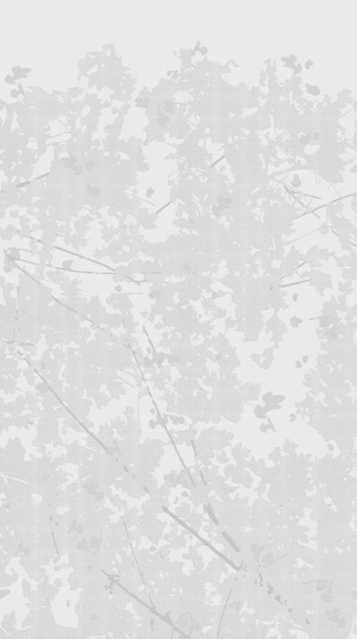 Wild Woods Grey - Off-White Commercial Wallcovering | Koroseal