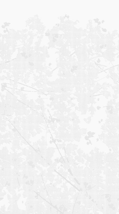 Wild Woods Light Grey - White Commercial Wallcovering | Koroseal