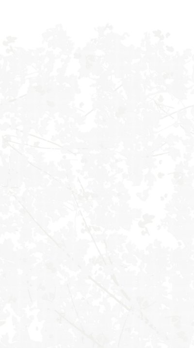 Wild Woods Lightest Grey - White Commercial Wallcovering | Koroseal