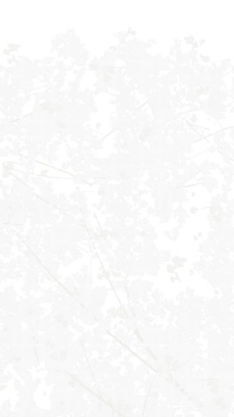 Wild Woods Lightest Grey  Wallpaper (0204D258) | Republic Of Ii By Iv | Koroseal