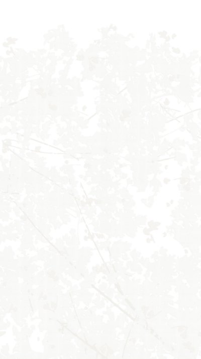 Wild Woods Lightest Neutral - Off-White Commercial Wallcovering | Koroseal