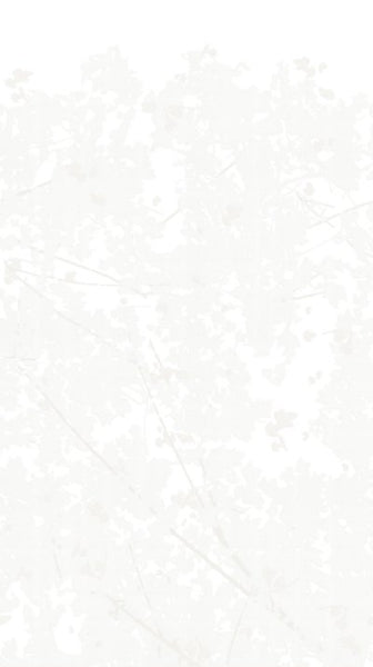 Wild Woods Lightest Neutral  Wallpaper (0204D259) | Republic Of Ii By Iv | Koroseal