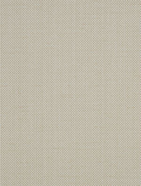 Brussels Raising Cain Rowdy Hall Wallcovering | Phillipe Romano