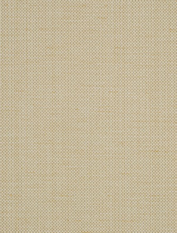 Brussels Raising Cain Champagne Taste Wallcovering | Phillipe Romano