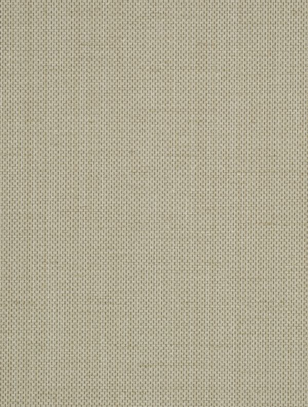 Brussels Raising Cain Bungee Cord Wallcovering | Phillipe Romano