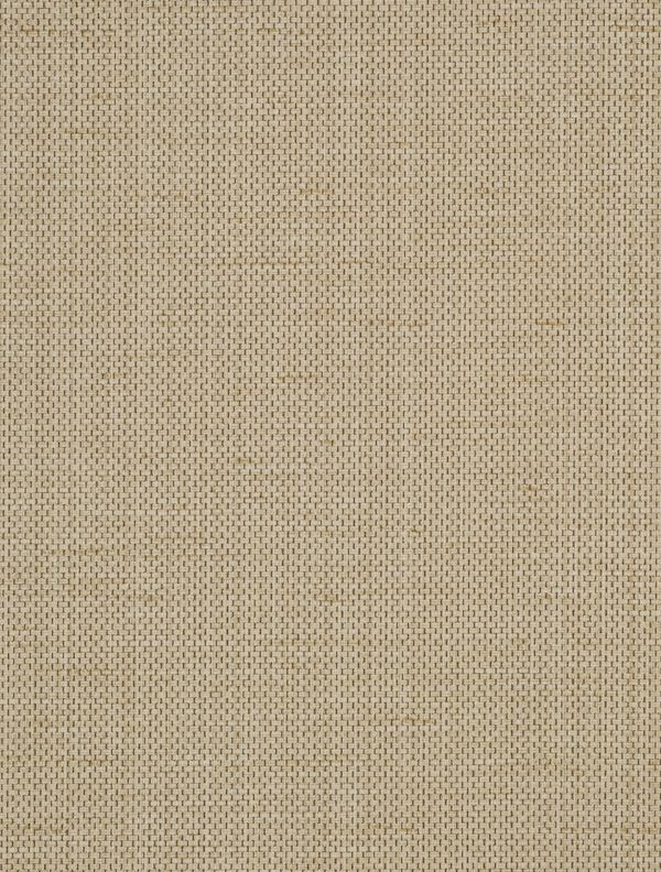 Brussels Raising Cain Going Coastal Wallcovering | Phillipe Romano