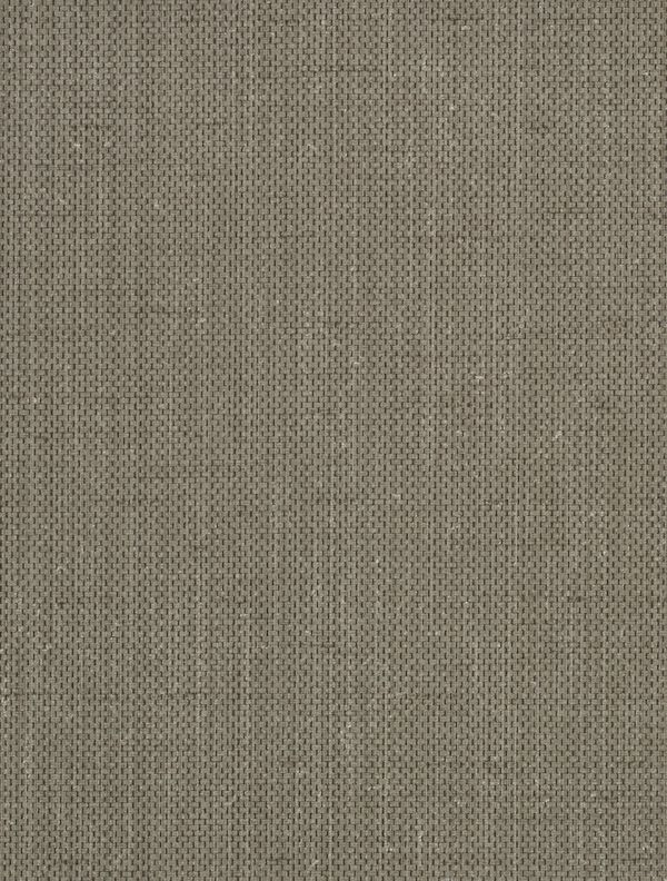 Brussels Raising Cain Double Dar Wallcovering | Phillipe Romano