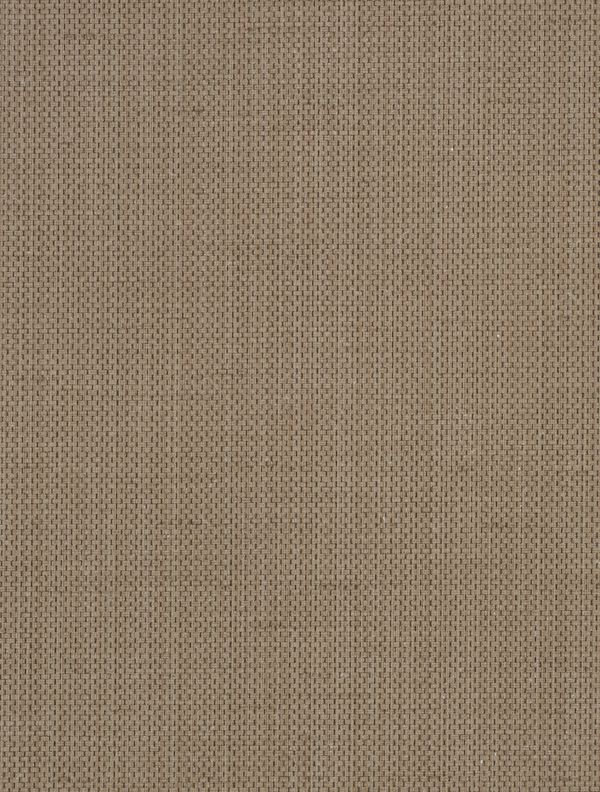 Brussels Raising Cain Cliff Hanger Wallcovering | Phillipe Romano