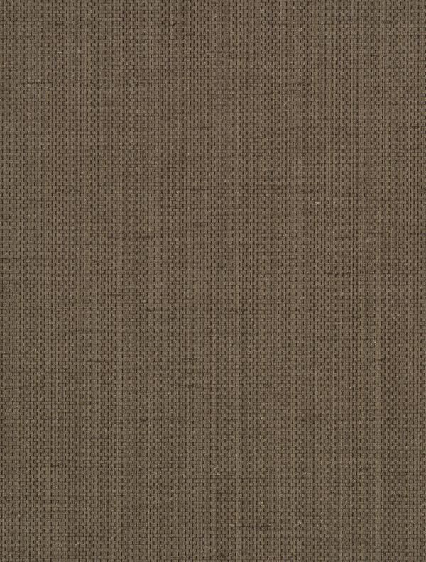 Brussels Raising Cain Bold Strokes Wallcovering | Phillipe Romano