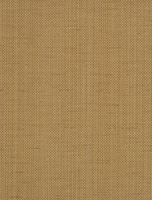 Brussels Raising Cain Bourbon Street Wallcovering | Phillipe Romano